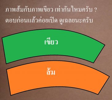ปัญหาเชาว์ puzzle