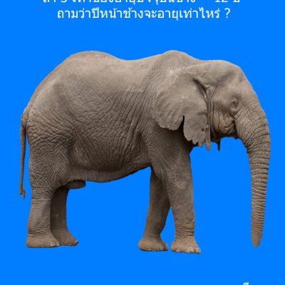 quiz puzzle ปัญหาเชาว์